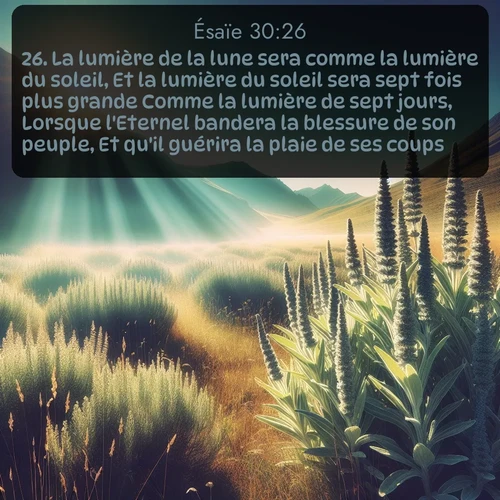 Segond Ésaïe  ; image nature: image avec le verset biblique :La lumière de la lune sera comme la lumière du soleil, Et la lumière du soleil sera sept fois plus grande Comme la lumière de sept jours, Lorsque l&#039;Eternel bandera la blessure de son peuple, Et qu&#039;il guérira la plaie de ses coups. ;  ; 30:26