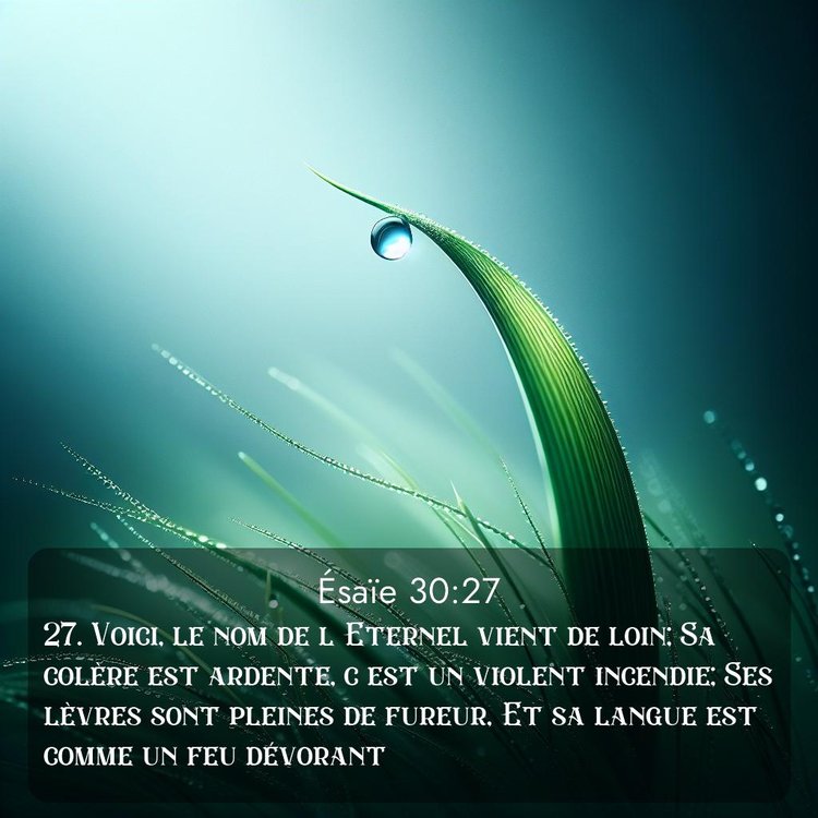 Segond Ésaïe 30:27