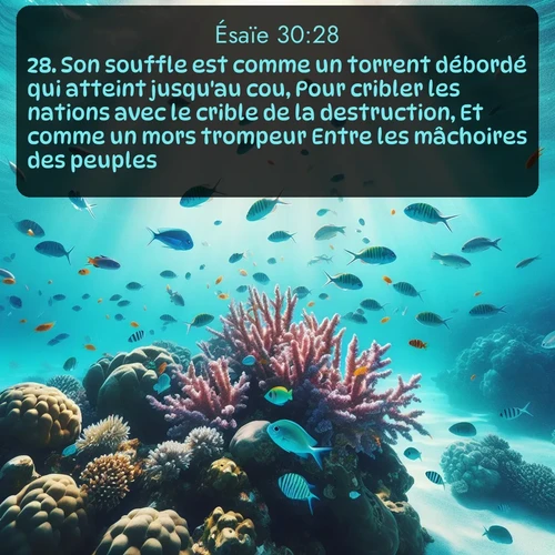 Segond Ésaïe  ; image nature: image avec le verset biblique :Son souffle est comme un torrent débordé qui atteint jusqu&#039;au cou, Pour cribler les nations avec le crible de la destruction, Et comme un mors trompeur Entre les mâchoires des peuples. ;  ; 30:28