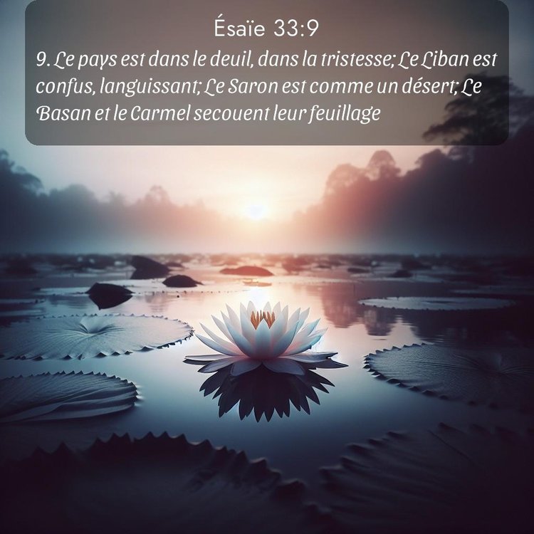 image nature avec verset biblique de la Bible