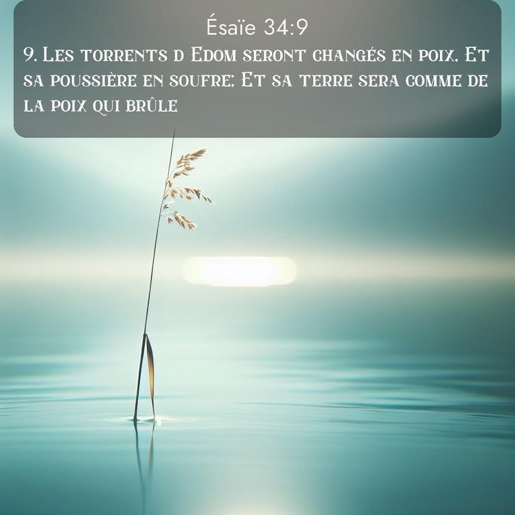 Segond Ésaïe 34:9