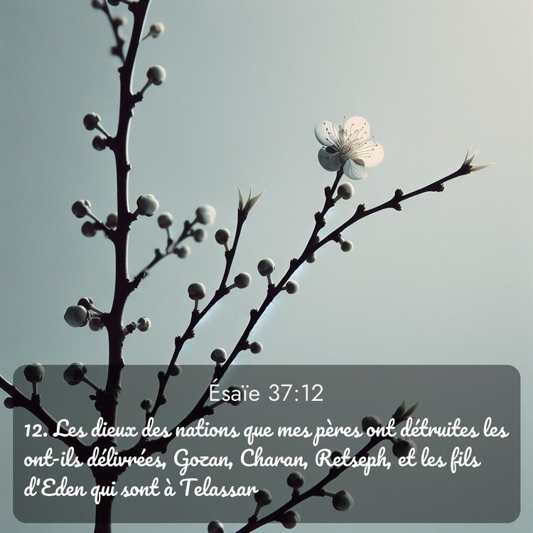 image nature avec verset biblique de la Bible