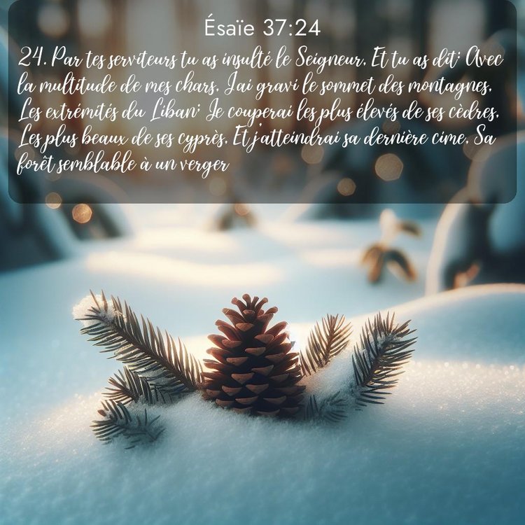 Segond Ésaïe 37:24