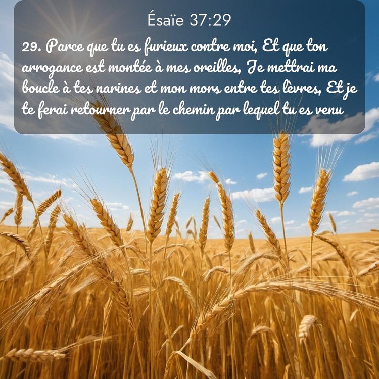 image nature avec verset biblique de la Bible