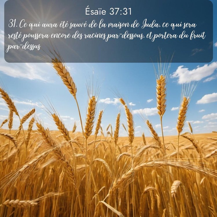 Segond Ésaïe 37:31