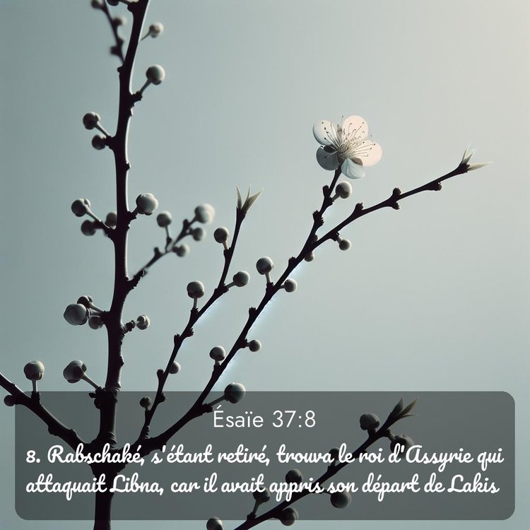 Segond Ésaïe 37:8