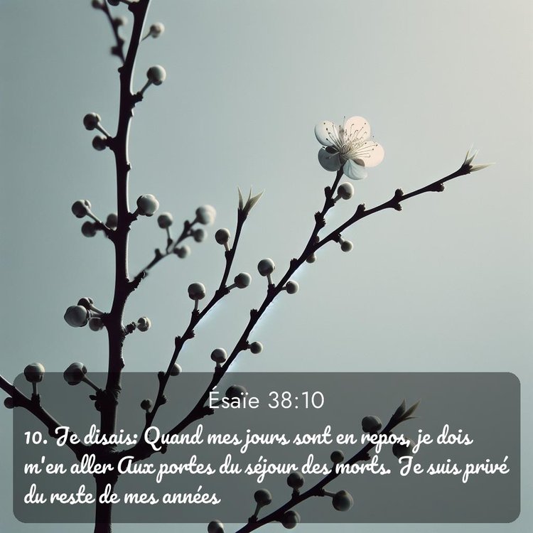 Segond Ésaïe 38:10