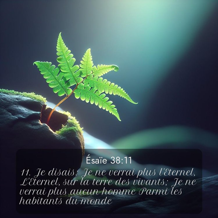 Segond Ésaïe 38:11