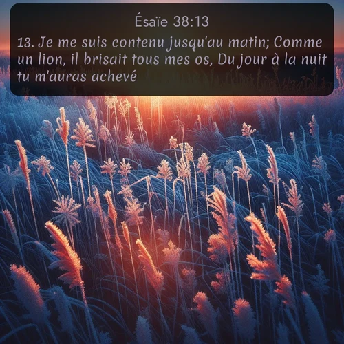 Segond Ésaïe  ; image nature: image avec le verset biblique :Je me suis contenu jusqu&#039;au matin; Comme un lion, il brisait tous mes os, Du jour à la nuit tu m&#039;auras achevé! ;  ; 38:13