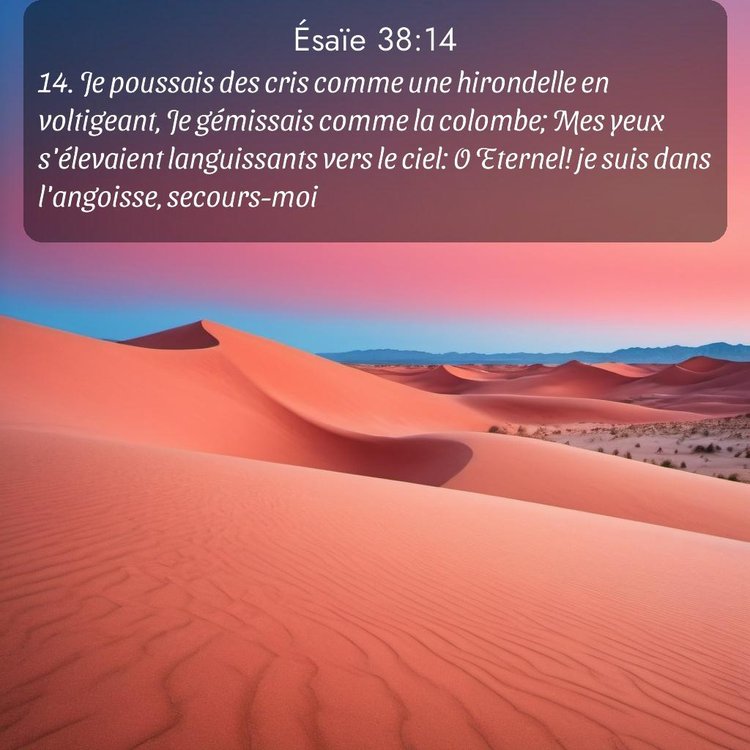 Segond Ésaïe 38:14