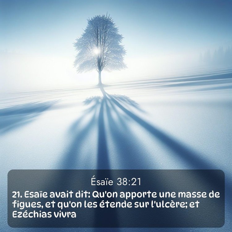 Segond Ésaïe 38:21