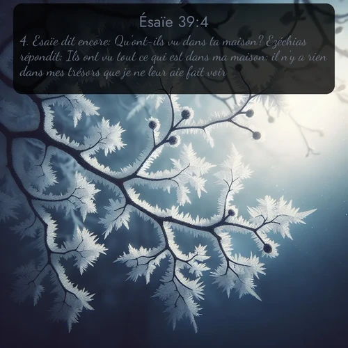 Segond Ésaïe  ; image nature: image avec le verset biblique :Esaïe dit encore: Qu&#039;ont-ils vu dans ta maison? Ezéchias répondit: Ils ont vu tout ce qui est dans ma maison: il n&#039;y a rien dans mes trésors que je ne leur aie fait voir. ;  ; 39:4