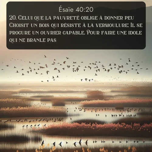 Segond Ésaïe  ; image nature: image avec le verset biblique :Celui que la pauvreté oblige à donner peu Choisit un bois qui résiste à la vermoulure; Il se procure un ouvrier capable, Pour faire une idole qui ne branle pas. ;  ; 40:20