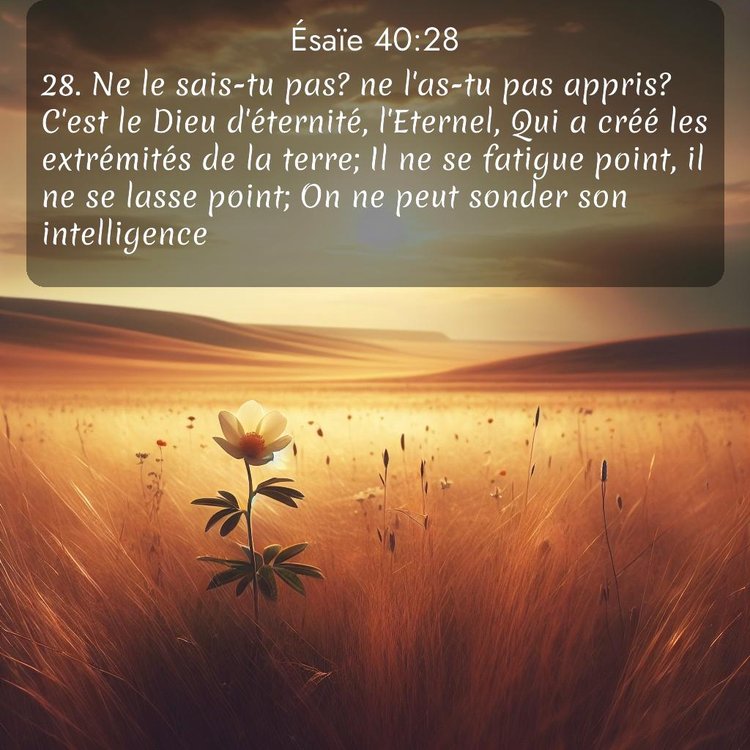 Segond Ésaïe 40:28