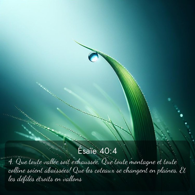 Segond Ésaïe 40:4