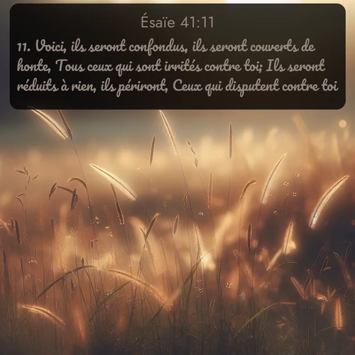 Segond Ésaïe  ; image nature: image avec le verset biblique :Voici, ils seront confondus, ils seront couverts de honte, Tous ceux qui sont irrités contre toi; Ils seront réduits à rien, ils périront, Ceux qui disputent contre toi. ;  ; 41:11