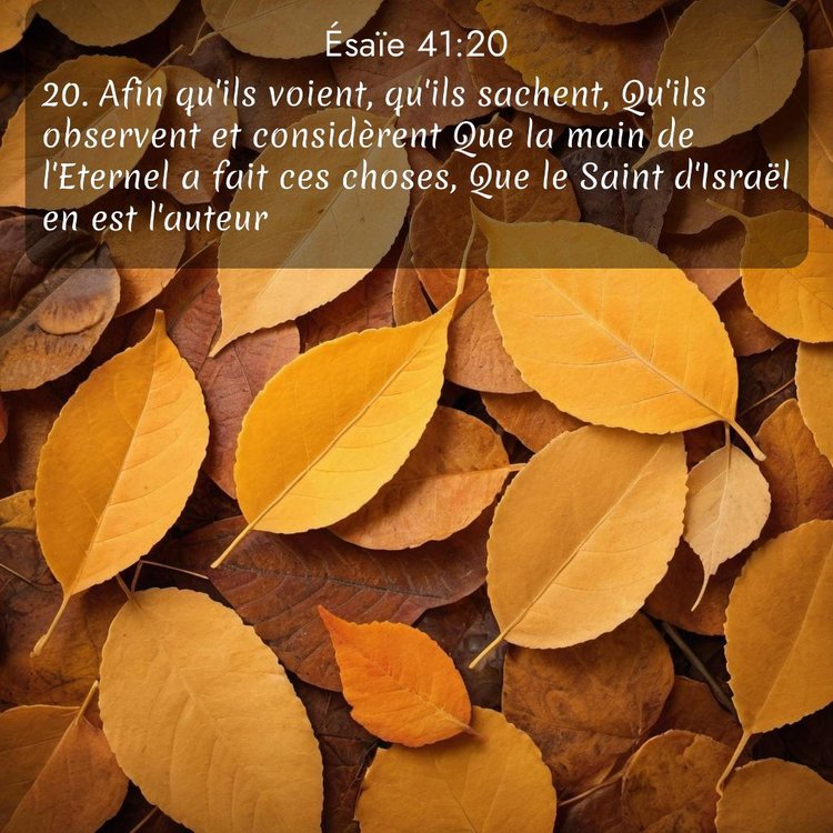 image nature avec verset biblique de la Bible