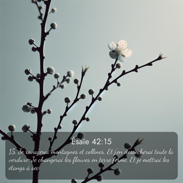 image nature avec verset biblique de la Bible