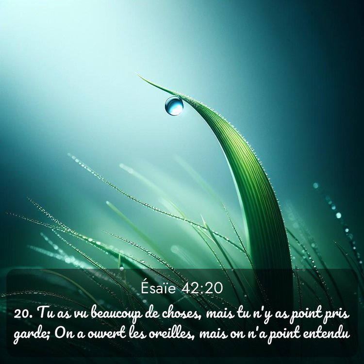 Segond Ésaïe 42:20