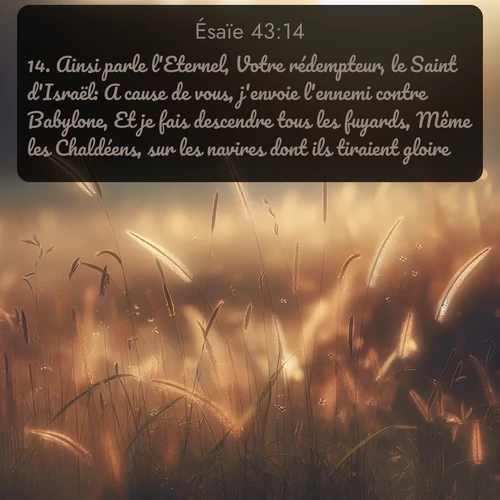 Segond Ésaïe  ; image nature: image avec le verset biblique :Ainsi parle l&#039;Eternel, Votre rédempteur, le Saint d&#039;Israël: A cause de vous, j&#039;envoie l&#039;ennemi contre Babylone, Et je fais descendre tous les fuyards, Même les Chaldéens, sur les navires dont ils tiraient gloire. ;  ; 43:14