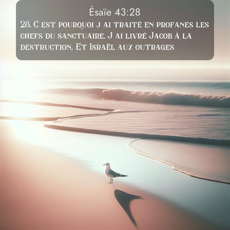 Segond Ésaïe 43:28