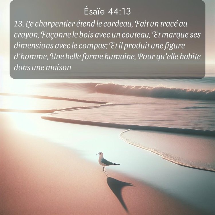 Segond Ésaïe 44:13