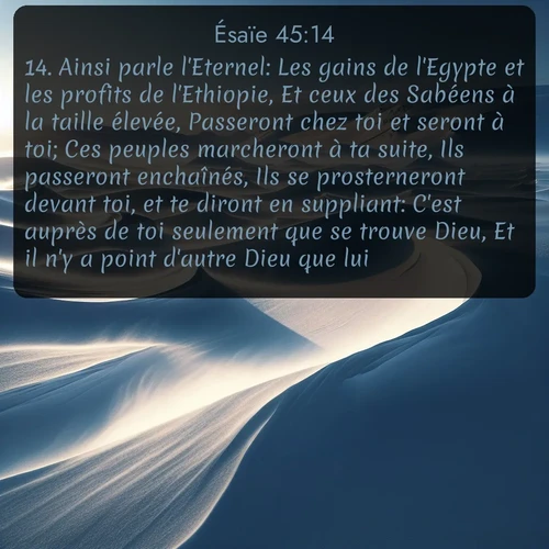 Segond Ésaïe  ; image nature: image avec le verset biblique :Ainsi parle l&#039;Eternel: Les gains de l&#039;Egypte et les profits de l&#039;Ethiopie, Et ceux des Sabéens à la taille élevée, Passeront chez toi et seront à toi; Ces peuples marcheront à ta suite, Ils passeront enchaînés, Ils se prosterneront devant toi, et te diront en suppliant: C&#039;est auprès de toi seulement que se trouve Dieu, Et il n&#039;y a point d&#039;autre Dieu que lui. ;  ; 45:14