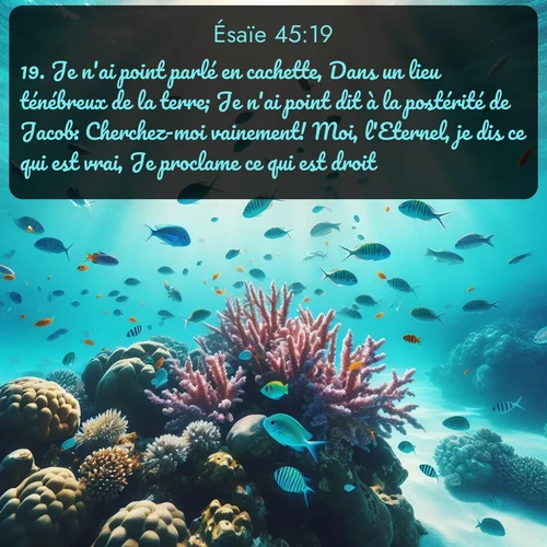 Segond Ésaïe  ; image nature: image avec le verset biblique :Je n&#039;ai point parlé en cachette, Dans un lieu ténébreux de la terre; Je n&#039;ai point dit à la postérité de Jacob: Cherchez-moi vainement! Moi, l&#039;Eternel, je dis ce qui est vrai, Je proclame ce qui est droit. ;  ; 45:19