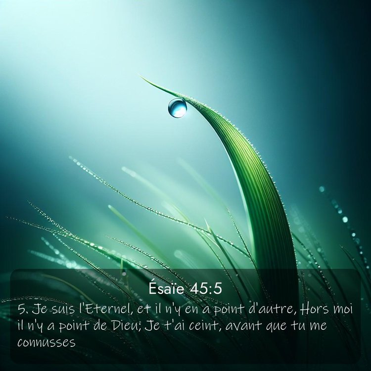 Segond Ésaïe 45:5