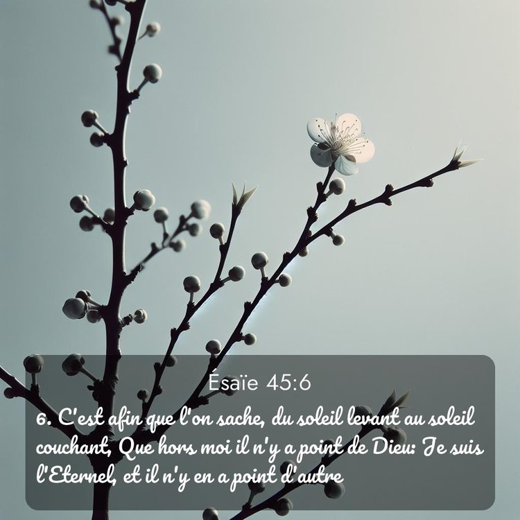 image nature avec verset biblique de la Bible