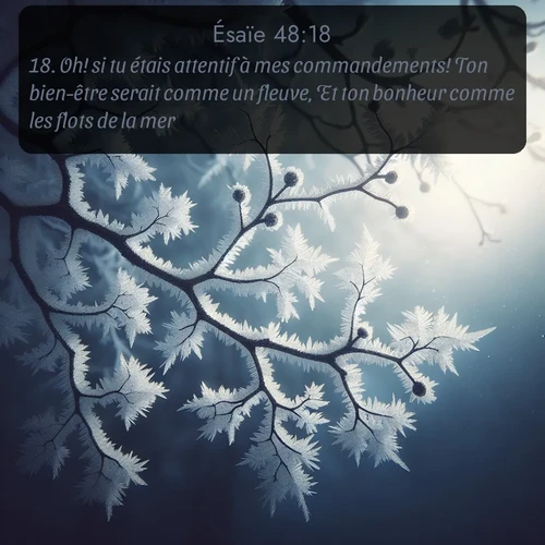 Segond Ésaïe  ; image nature: image avec le verset biblique :Oh! si tu étais attentif à mes commandements! Ton bien-être serait comme un fleuve, Et ton bonheur comme les flots de la mer; ;  ; 48:18