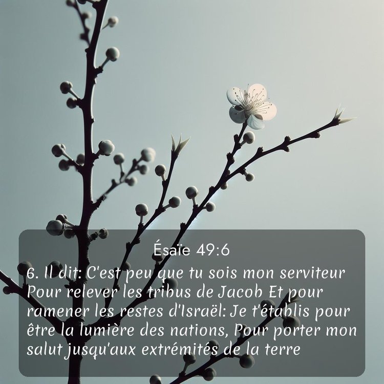 Segond Ésaïe 49:6