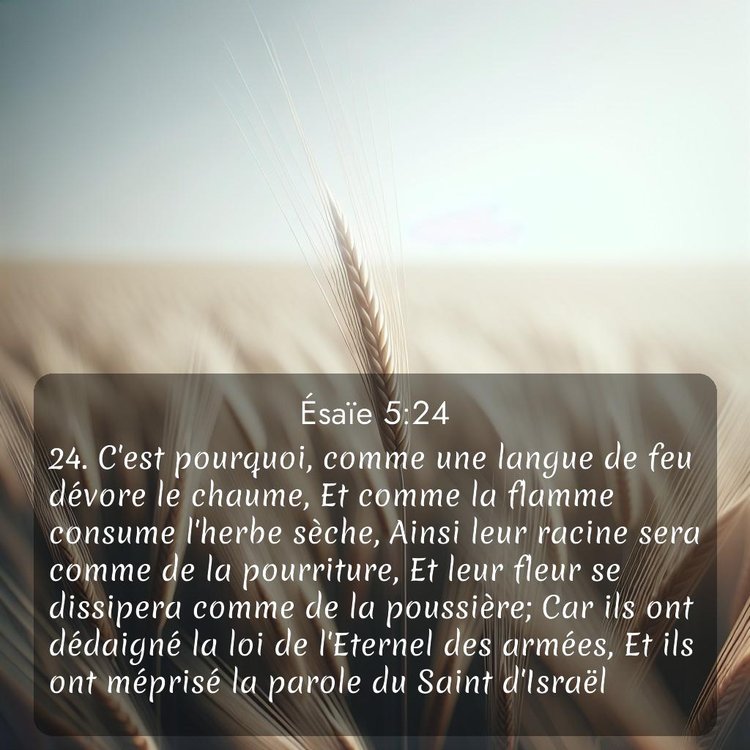 Segond Ésaïe 5:24