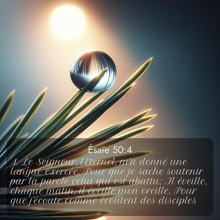 image nature avec verset biblique de la Bible