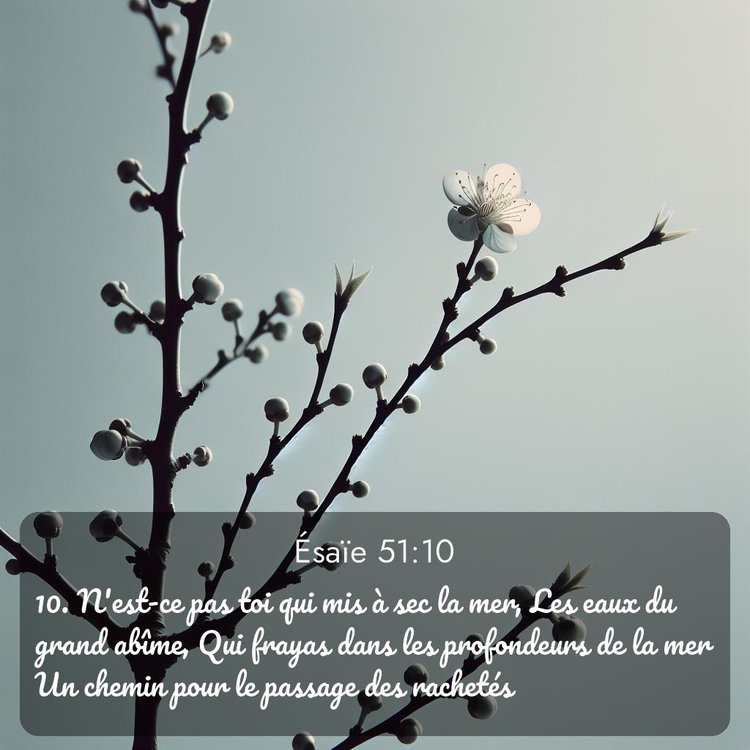 Segond Ésaïe 51:10