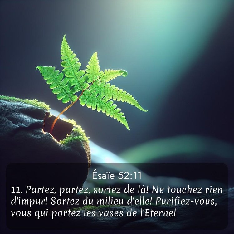 Segond Ésaïe 52:11