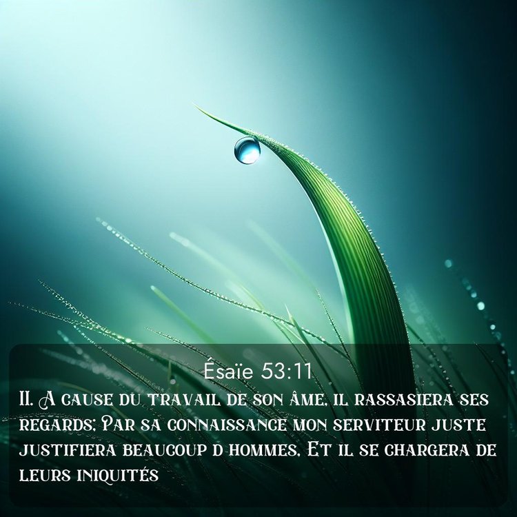 Segond Ésaïe 53:11