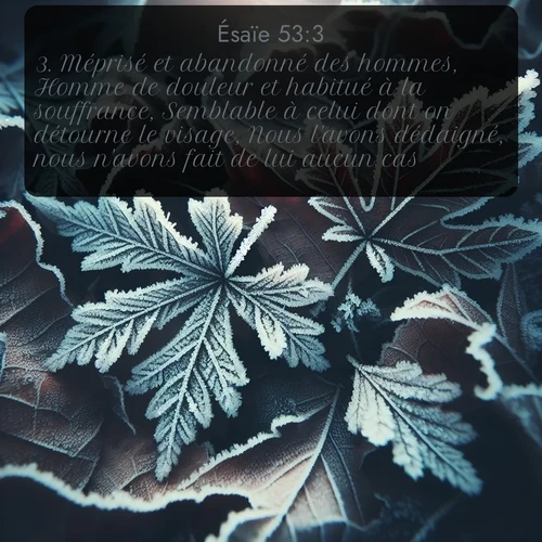 Segond 23 53:3