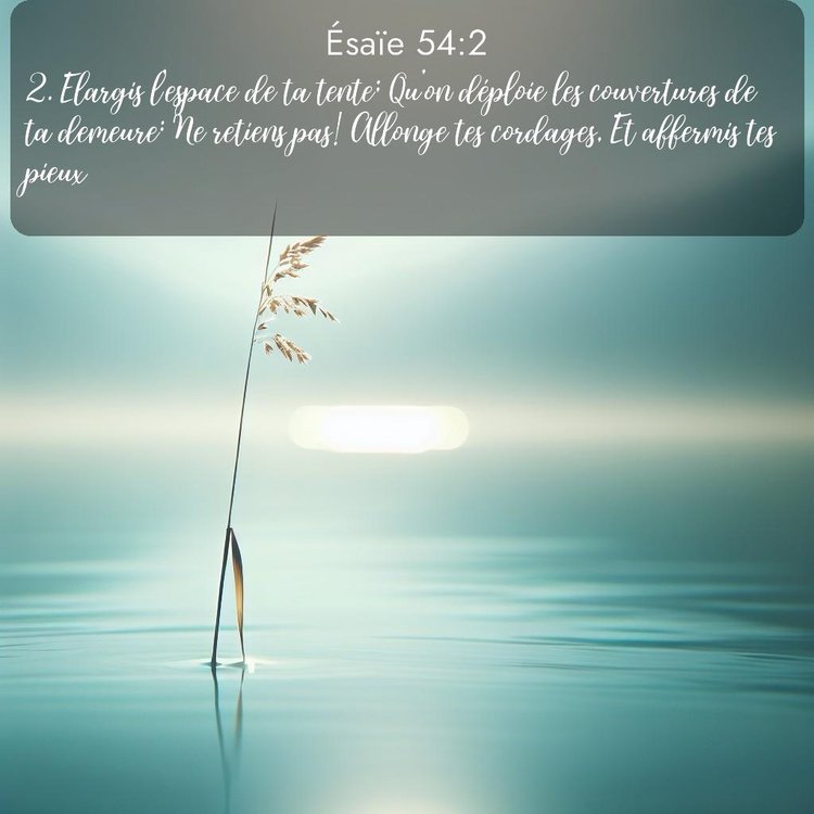 Segond Ésaïe 54:2