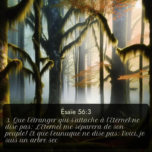 Segond Ésaïe  ; image nature: image avec le verset biblique :Que l&#039;étranger qui s&#039;attache à l&#039;Eternel ne dise pas: L&#039;Eternel me séparera de son peuple! Et que l&#039;eunuque ne dise pas: Voici, je suis un arbre sec! ;  ; 56:3