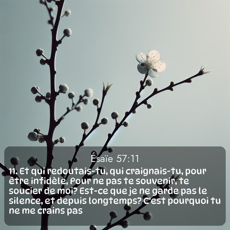 Segond Ésaïe 57:11