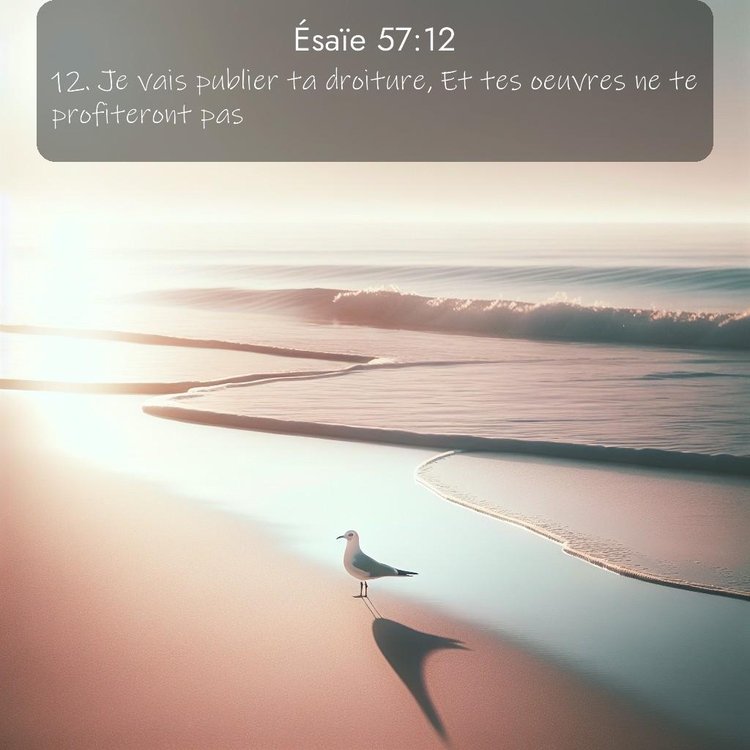 Segond Ésaïe 57:12