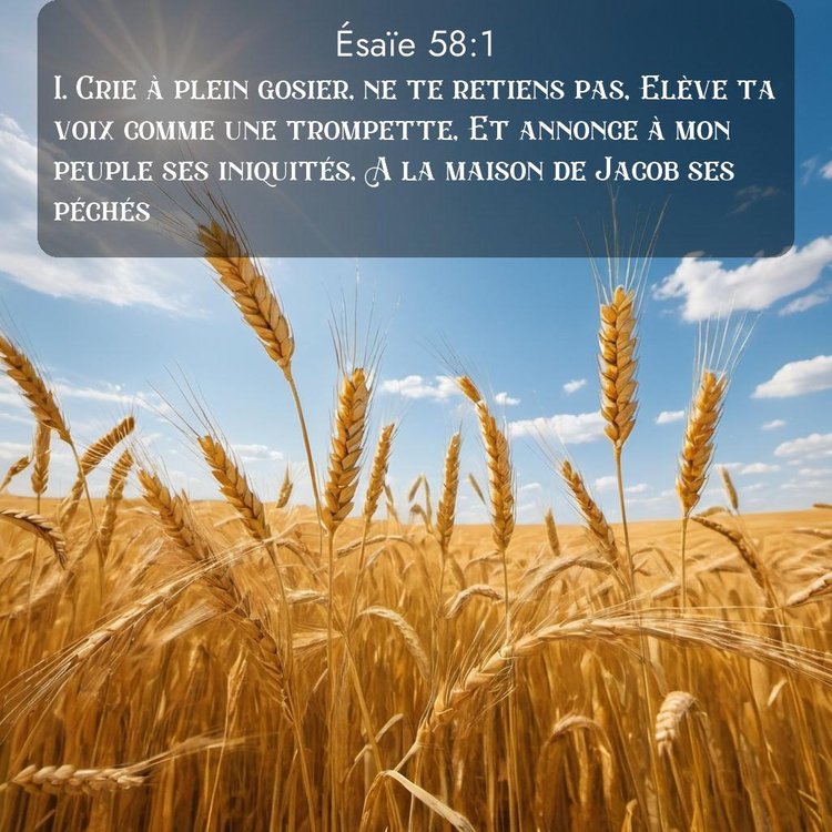 Segond Ésaïe 58:1