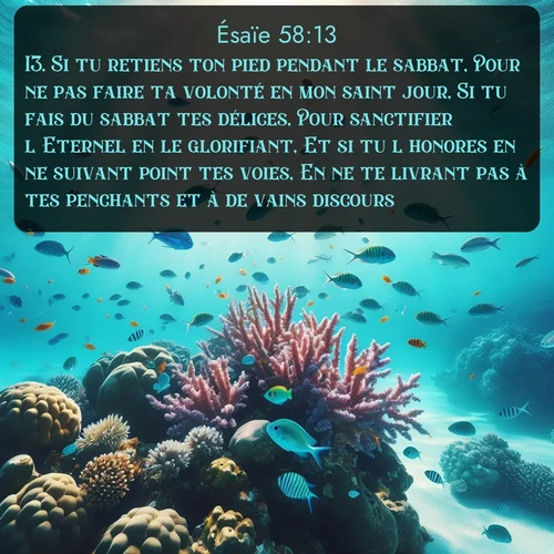 Segond Ésaïe  ; image nature: image avec le verset biblique :Si tu retiens ton pied pendant le sabbat, Pour ne pas faire ta volonté en mon saint jour, Si tu fais du sabbat tes délices, Pour sanctifier l&#039;Eternel en le glorifiant, Et si tu l&#039;honores en ne suivant point tes voies, En ne te livrant pas à tes penchants et à de vains discours, ;  ; 58:13