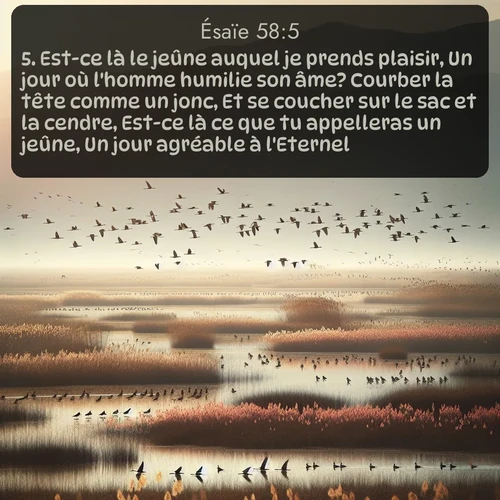 Segond Ésaïe  ; image nature: image avec le verset biblique :Est-ce là le jeûne auquel je prends plaisir, Un jour où l&#039;homme humilie son âme? Courber la tête comme un jonc, Et se coucher sur le sac et la cendre, Est-ce là ce que tu appelleras un jeûne, Un jour agréable à l&#039;Eternel? ;  ; 58:5