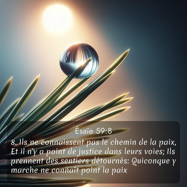 Segond Ésaïe 59:8