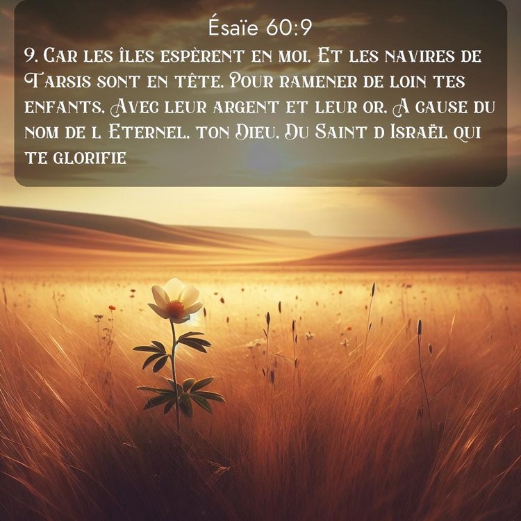 Segond Ésaïe 60:9