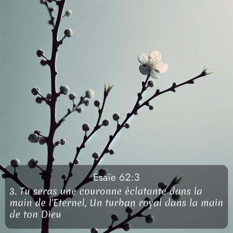 Segond Ésaïe 62:3