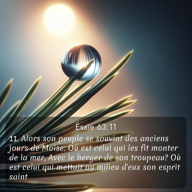 Segond Ésaïe 63:11