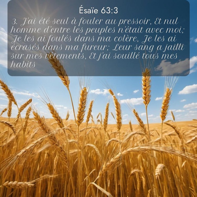 Segond Ésaïe 63:3